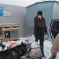 Визит в Муниципальный Приют города «ЮГОРСК» - Молодежь Югорска