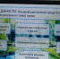 Какой будет сквер на улице Ленина? - Администрация г.Югорска
