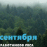 С Днём работников леса и лесоперерабатывающей промышленности! - Администрация г.Югорска