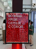 Студенты ЮГУ выступили в полуфинале Молодежной программы Финополис 365 в «Сириусе»